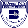 Bidvest Wits U21